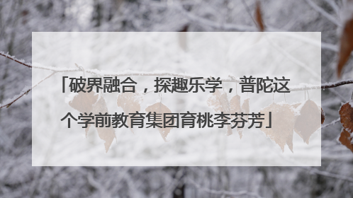 破界融合，探趣乐学，普陀这个学前教育集团育桃李芬芳