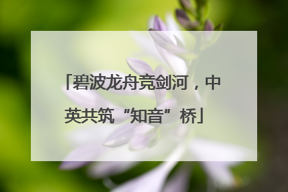 碧波龙舟竞剑河，中英共筑“知音”桥