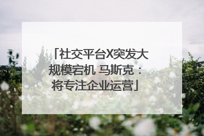 社交平台X突发大规模宕机 马斯克：将专注企业运营