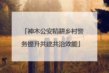 神木公安精耕乡村警务提升共建共治效能