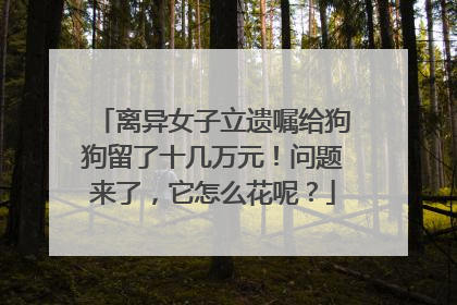 离异女子立遗嘱给狗狗留了十几万元！问题来了，它怎么花呢？