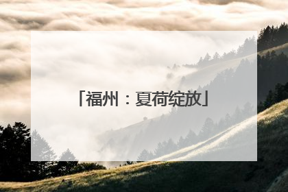 福州：夏荷绽放