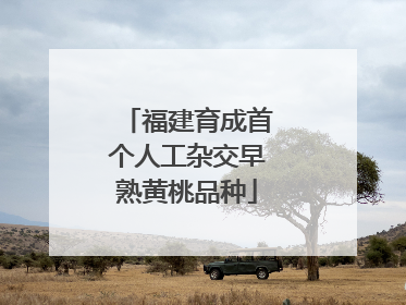 福建育成首个人工杂交早熟黄桃品种