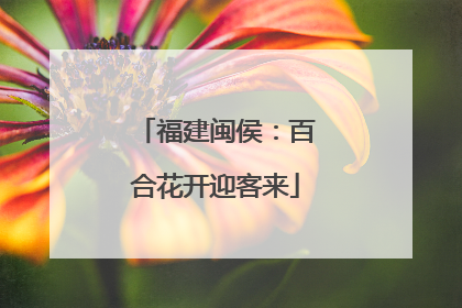 福建闽侯：百合花开迎客来