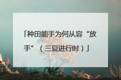 种田能手为何从容“放手”（三夏进行时）