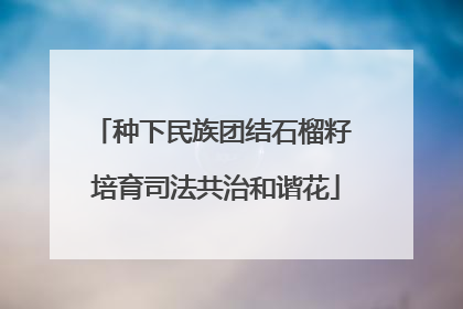 种下民族团结石榴籽 培育司法共治和谐花