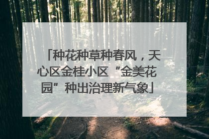 种花种草种春风，天心区金桂小区“金美花园”种出治理新气象