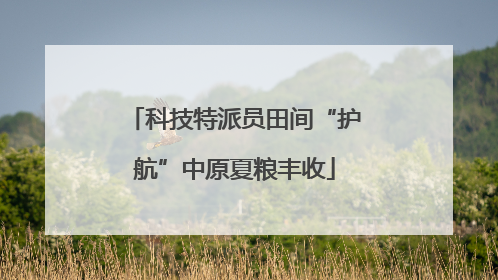 科技特派员田间“护航”中原夏粮丰收