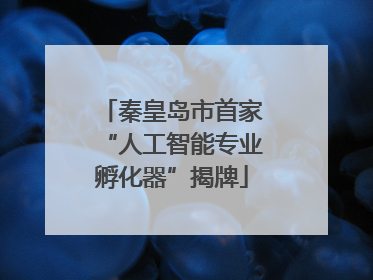 秦皇岛市首家“人工智能专业孵化器”揭牌