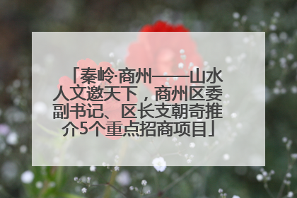 秦岭·商州——山水人文邀天下，商州区委副书记、区长支朝奇推介5个重点招商项目