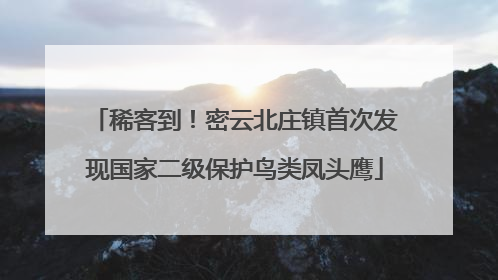稀客到！密云北庄镇首次发现国家二级保护鸟类凤头鹰
