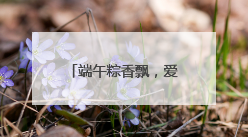 端午粽香飘，爱心助农暖人心｜亿膳坊以产业之火点亮乡村振兴路
