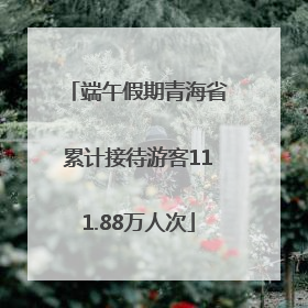 端午假期青海省累计接待游客111.88万人次