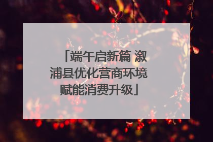 端午启新篇 溆浦县优化营商环境赋能消费升级