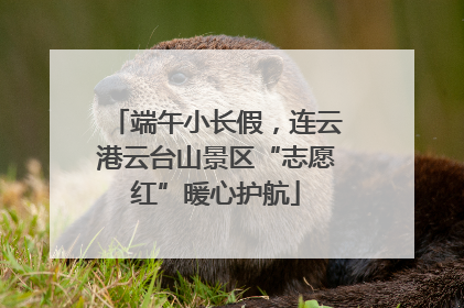 端午小长假，连云港云台山景区“志愿红”暖心护航