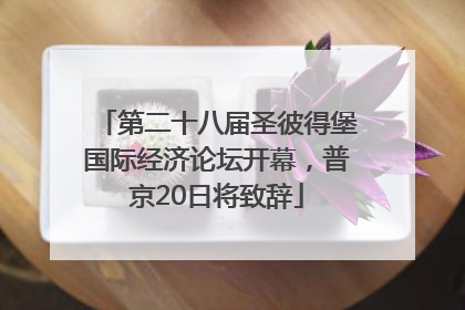 第二十八届圣彼得堡国际经济论坛开幕，普京20日将致辞