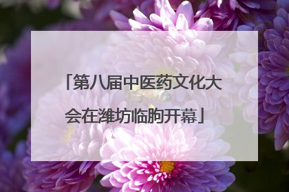 第八届中医药文化大会在潍坊临朐开幕