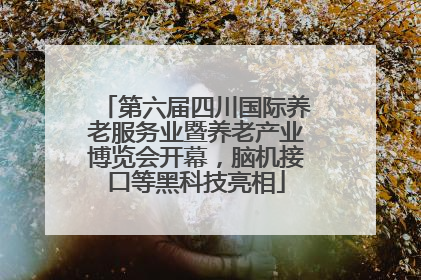 第六届四川国际养老服务业暨养老产业博览会开幕，脑机接口等黑科技亮相