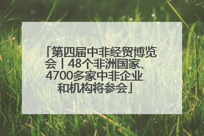第四届中非经贸博览会丨48个非洲国家、4700多家中非企业和机构将参会
