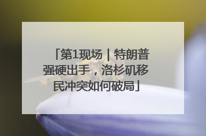 第1现场｜特朗普强硬出手，洛杉矶移民冲突如何破局