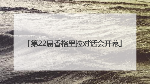 第22届香格里拉对话会开幕