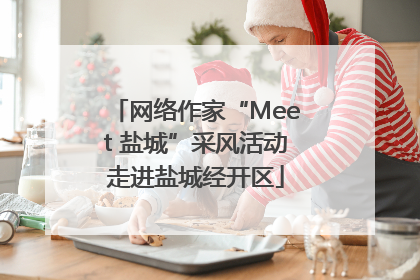 网络作家“Meet 盐城”采风活动走进盐城经开区