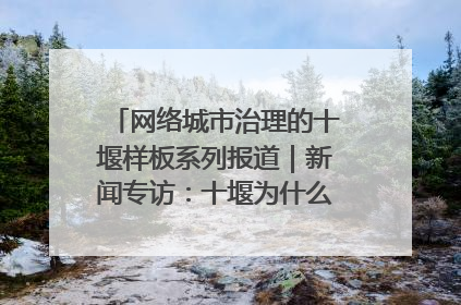 网络城市治理的十堰样板系列报道｜新闻专访：十堰为什么成为“黑马型”城市治理网络维度典型