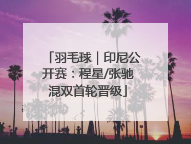 羽毛球｜印尼公开赛：程星/张驰混双首轮晋级
