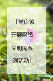 羊庄镇开展网络文明周系列活动