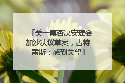 美一票否决安理会加沙决议草案，古特雷斯：感到失望