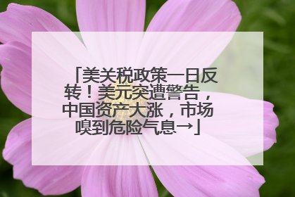 美关税政策一日反转！美元突遭警告，中国资产大涨，市场嗅到危险气息→