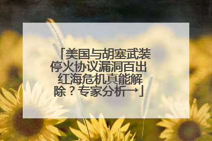 美国与胡塞武装停火协议漏洞百出 红海危机真能解除？专家分析→