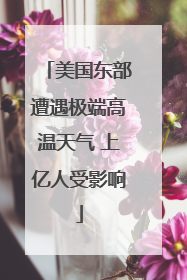 美国东部遭遇极端高温天气 上亿人受影响