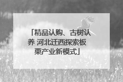 精品认购、古树认养 河北迁西探索板栗产业新模式