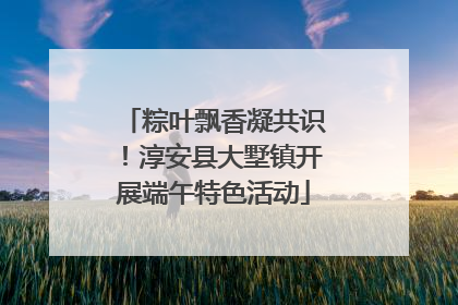 粽叶飘香凝共识！淳安县大墅镇开展端午特色活动