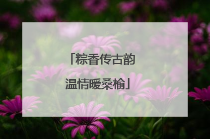 粽香传古韵 温情暖桑榆