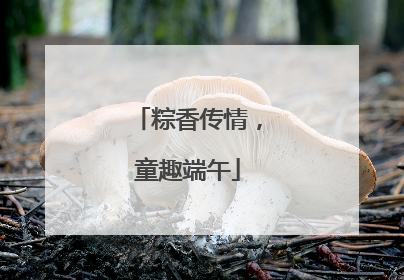 粽香传情，童趣端午