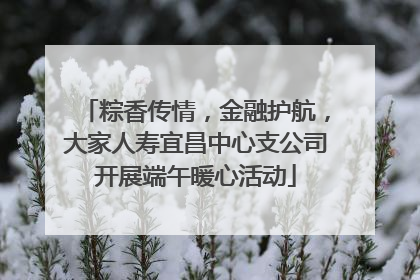 粽香传情，金融护航，大家人寿宜昌中心支公司开展端午暖心活动