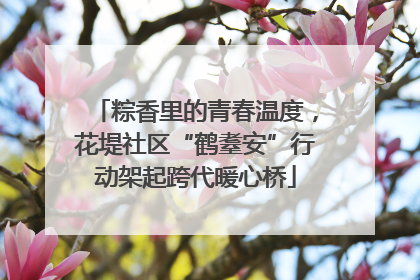 粽香里的青春温度，花堤社区“鹤耋安”行动架起跨代暖心桥