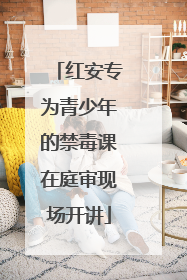 红安专为青少年的禁毒课在庭审现场开讲
