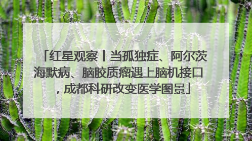 红星观察丨当孤独症、阿尔茨海默病、脑胶质瘤遇上脑机接口，成都科研改变医学图景