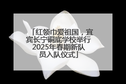 红领巾爱祖国，宜宾长宁硐底学校举行2025年春期新队员入队仪式