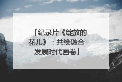 纪录片《绽放的花儿》：共绘融合发展时代画卷