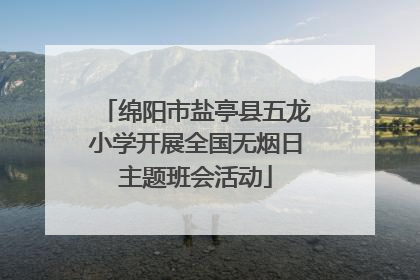 绵阳市盐亭县五龙小学开展全国无烟日主题班会活动