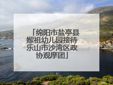 绵阳市盐亭县嫘祖幼儿园接待乐山市沙湾区政协观摩团