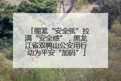 绷紧“安全弦”拉满“安全感”，黑龙江省双鸭山公安用行动为平安“加码”
