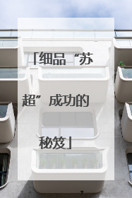 细品“苏超”成功的秘笈