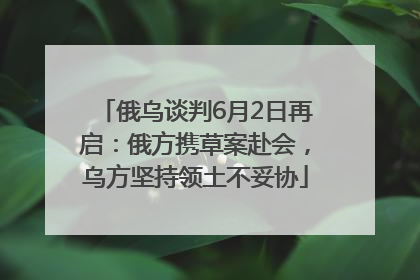 俄乌谈判6月2日再启：俄方携草案赴会，乌方坚持领土不妥协