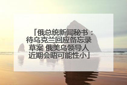 俄总统新闻秘书：待乌克兰回应备忘录草案 俄美乌领导人近期会晤可能性小
