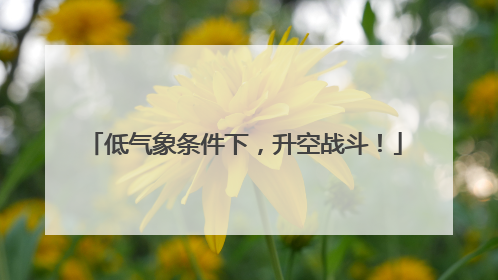 低气象条件下，升空战斗！